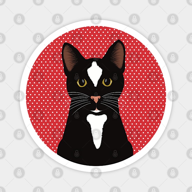 The cute and alert black and  white cat is waiting and watching you , red and white dotted background Magnet by marina63